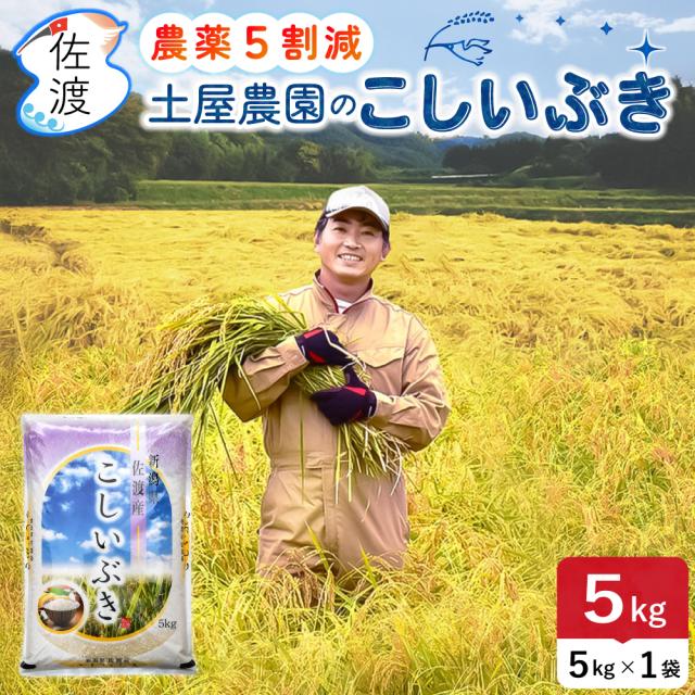 送料無料 こしいぶき