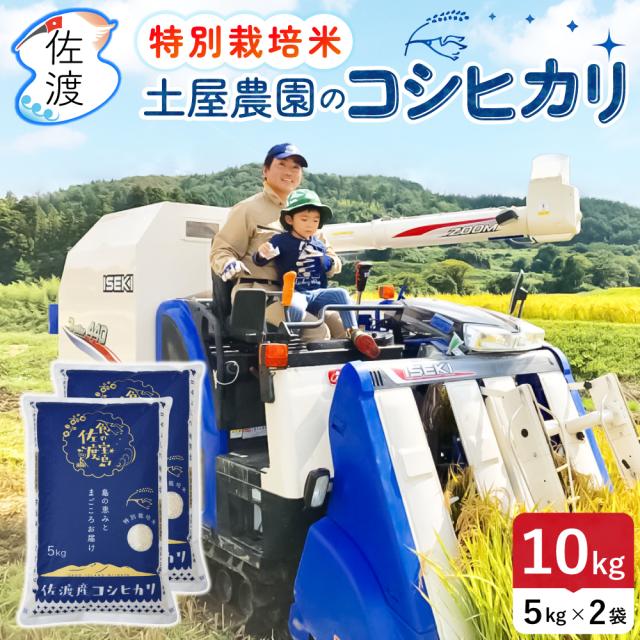 大野コシヒカリ