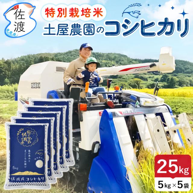 大野コシヒカリ