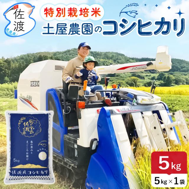 大野コシヒカリ