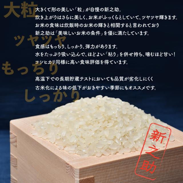 新之助の特長
