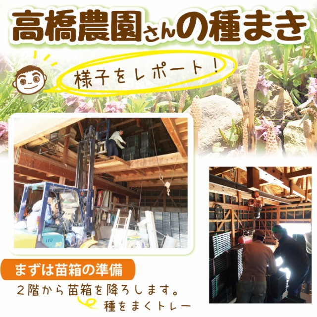 種まきレポート