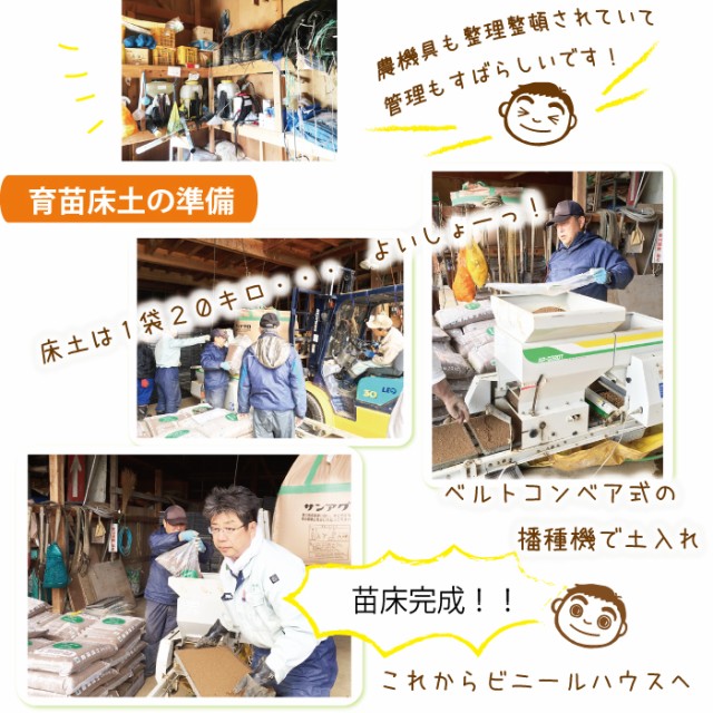 種まきレポート