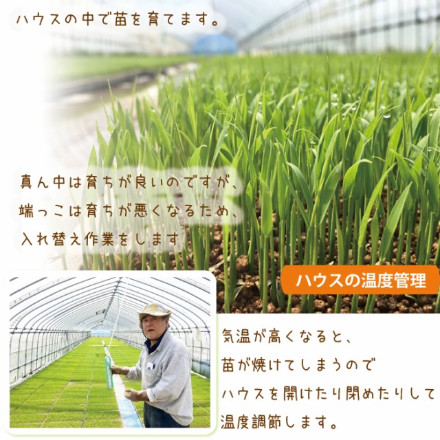 ハウスの中