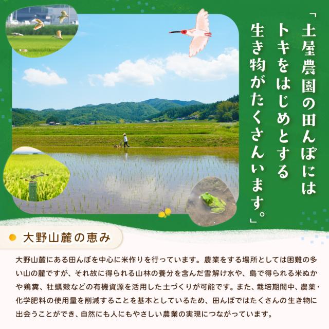 大野山麓の恵み　土屋農園の田んぼには、トキをはじめとする生き物がたくさんいます