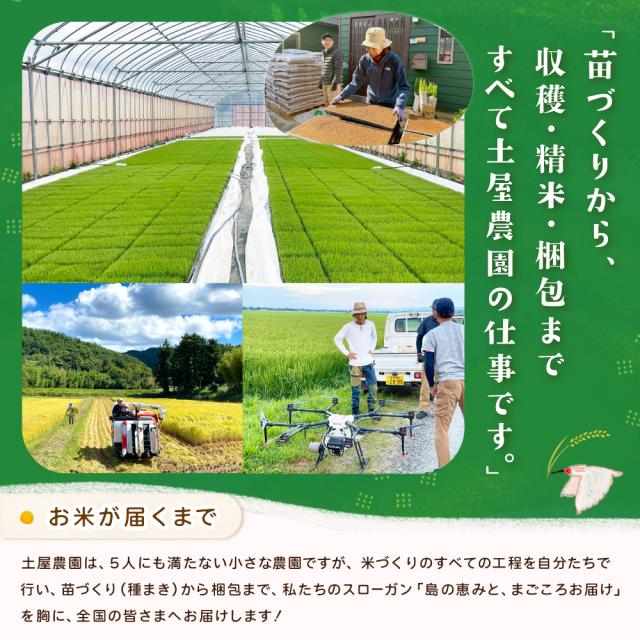 苗づくりから収穫・精米・梱包発送まで行っています　土屋農園　Creative-SD株式会社