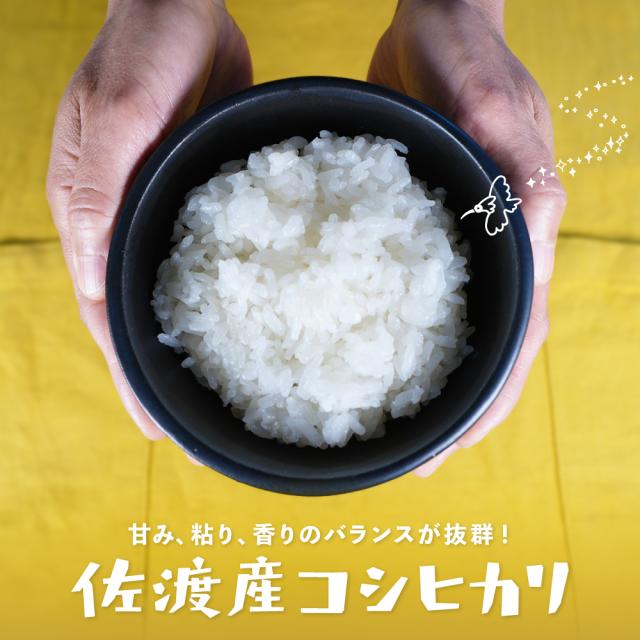 佐渡産コシヒカリ　白米