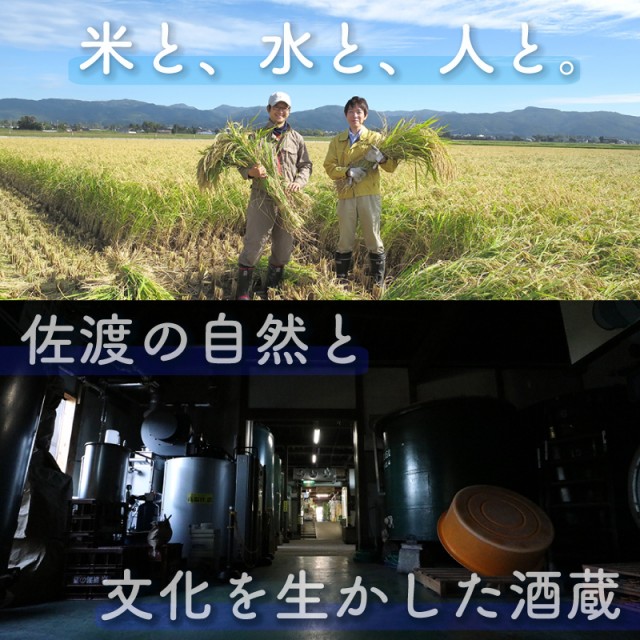 真野鶴_米と水と人