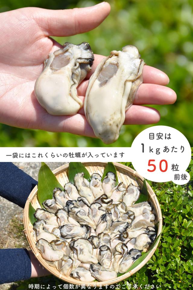 粒の大きさ手のひら