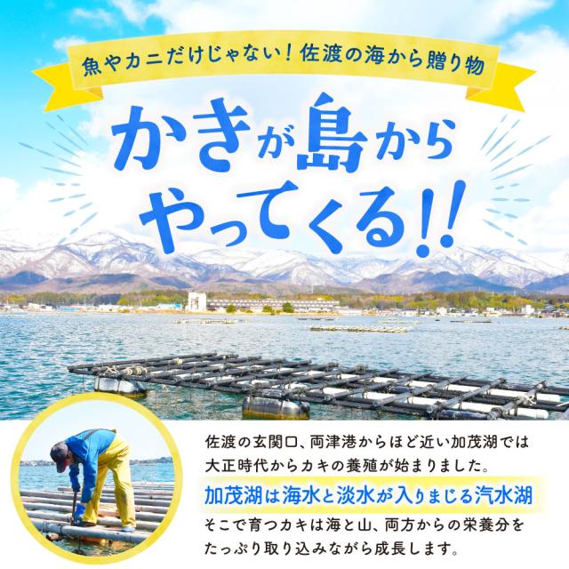 牡蠣が島からやってくる