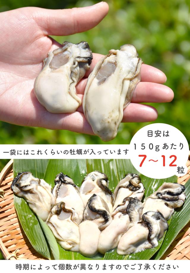 粒の大きさ手のひら