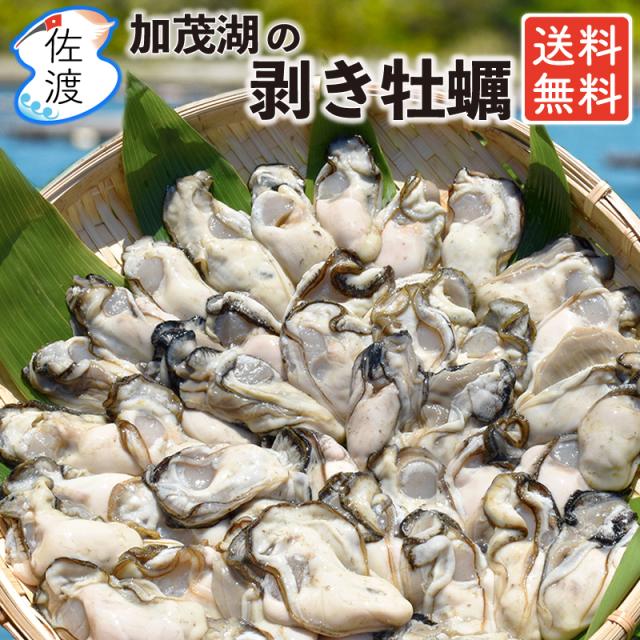 佐渡産カキ１キロ