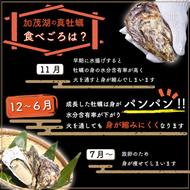 牡蠣食べごろ