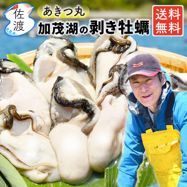 佐渡産カキ