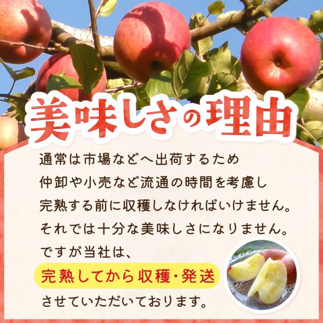 美味しさの理由