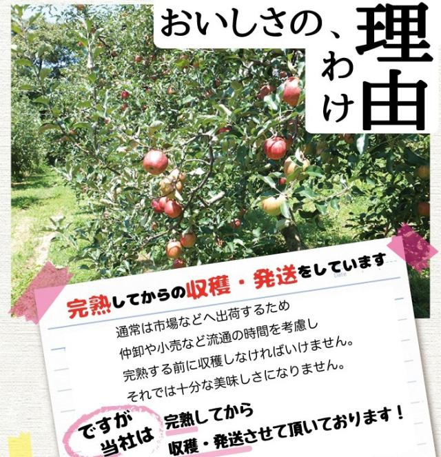 美味しさの理由