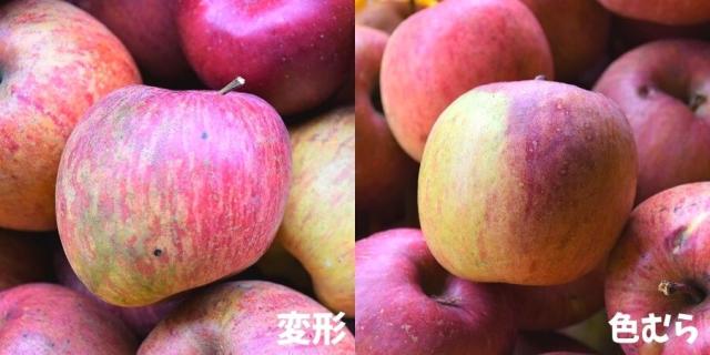 訳りんご変形