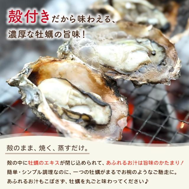 殻付きだから味わえる濃厚な牡蠣の旨味