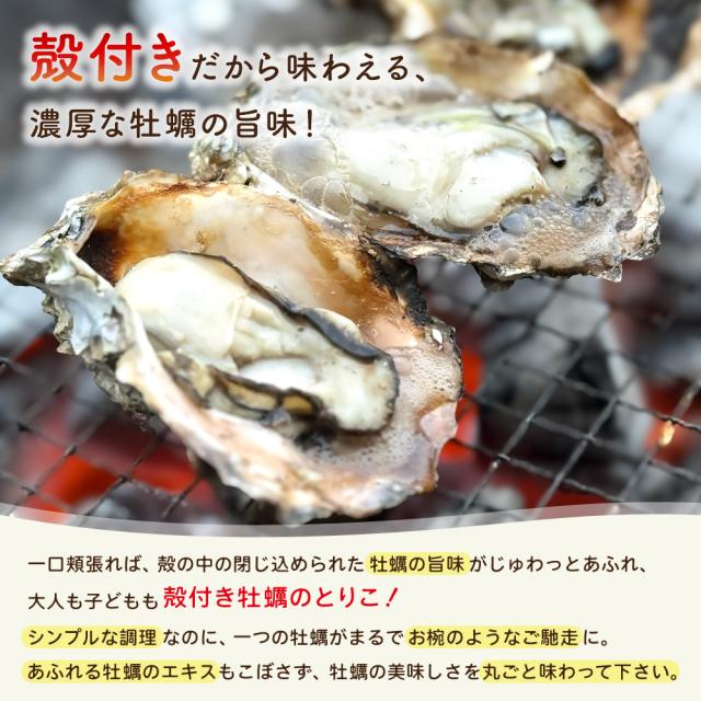 殻付きだから味わえる濃厚な牡蠣の旨味