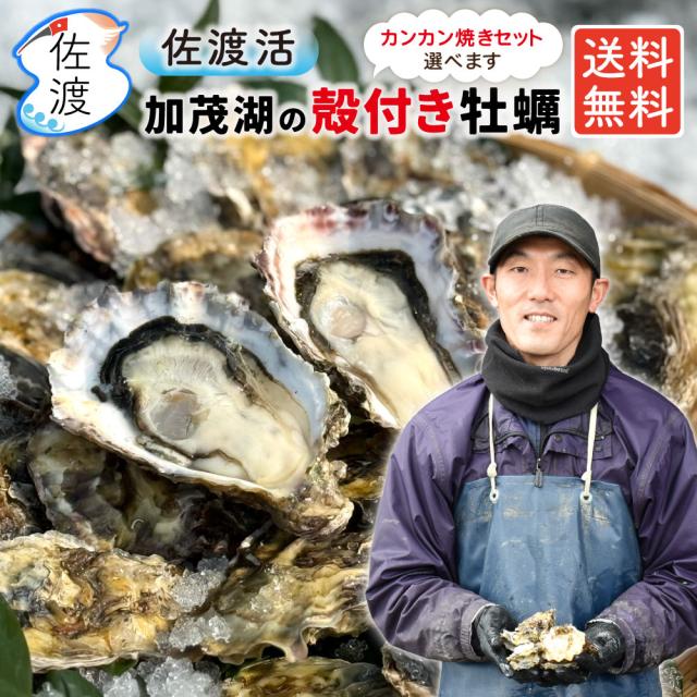 佐渡産 殻付き牡蠣