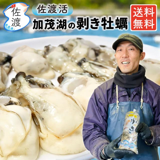 佐渡産 剥き牡蠣