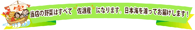当店の野菜は全て佐渡産