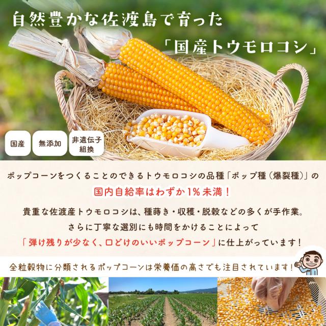 国産トウモロコシ