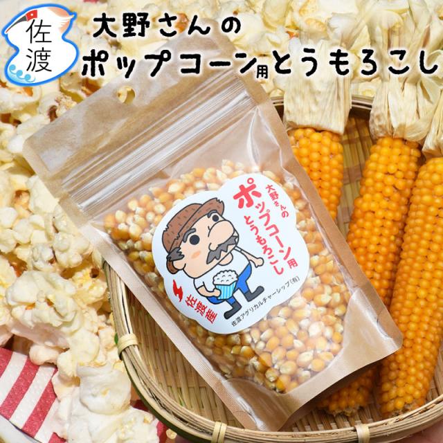 佐渡産ポップコーンの種
