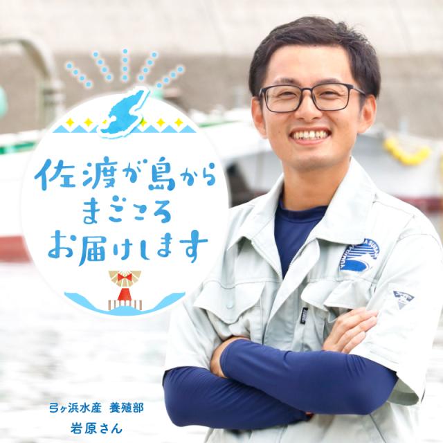 佐渡が島からまごころお届け