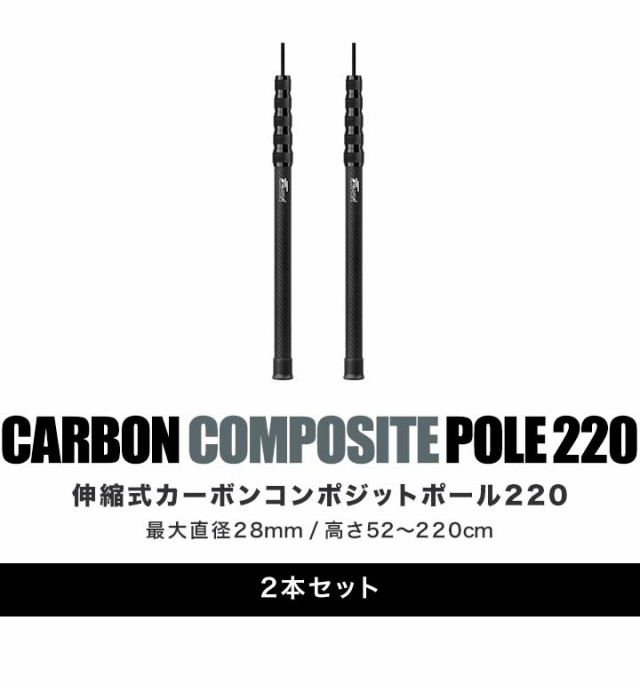 FIELDOOR 1年保証 カーボン製テントポール 2本セット 軽量1本
