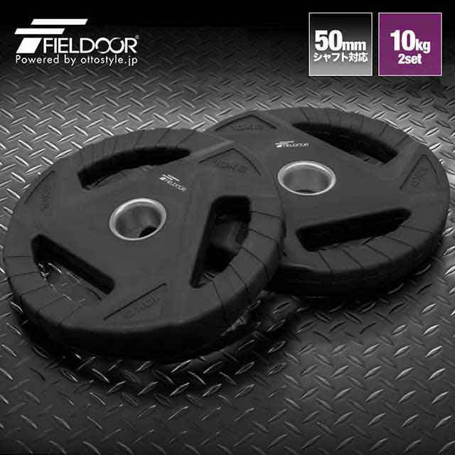 ダンベルプレート10kg 2枚組 GOLD'S GYM ダンベルプレート 10kg 2枚