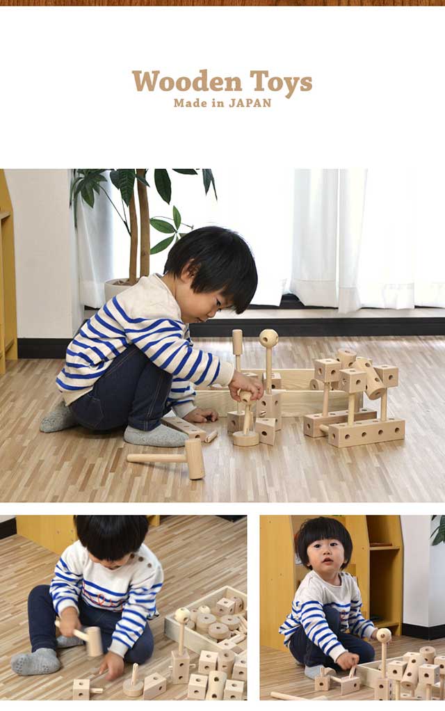 a14229_pic01.jpg
