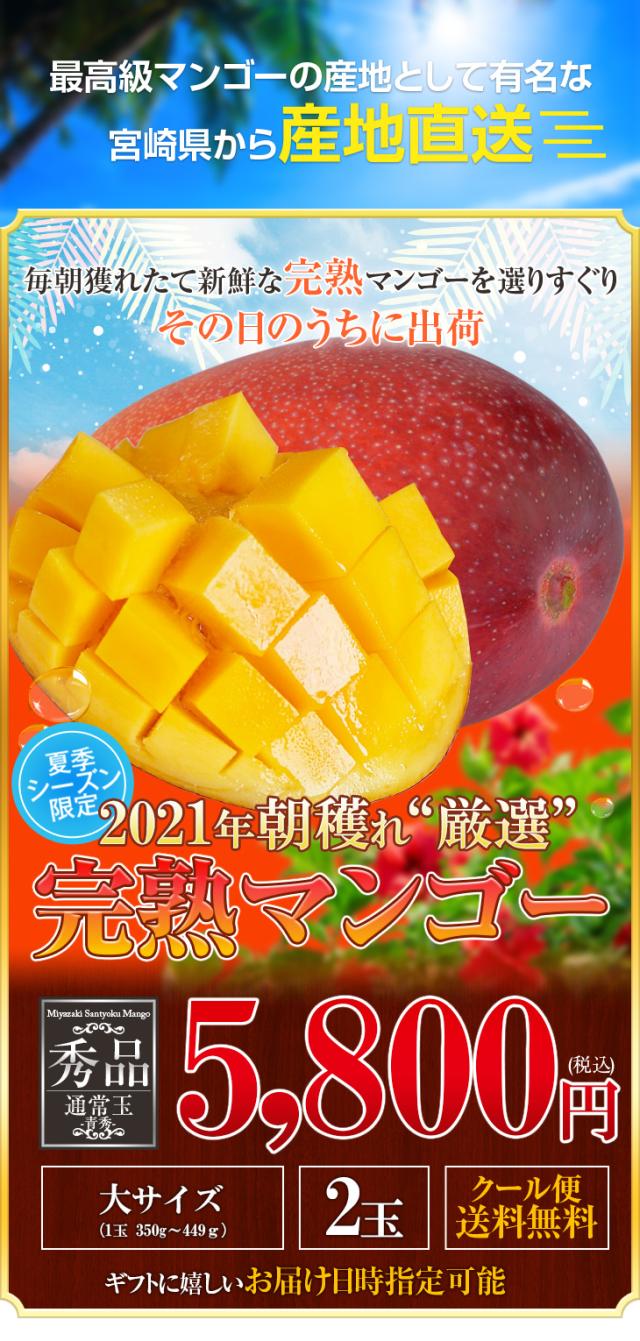 最新情報 8月上旬頃までの発送となります お中元 ギフト 送料無料 宮崎産 朝穫れ 厳選 完熟マンゴー 秀品 通常玉 青秀 大サイズ 代引不可 Centrodeladultomayor Com Uy