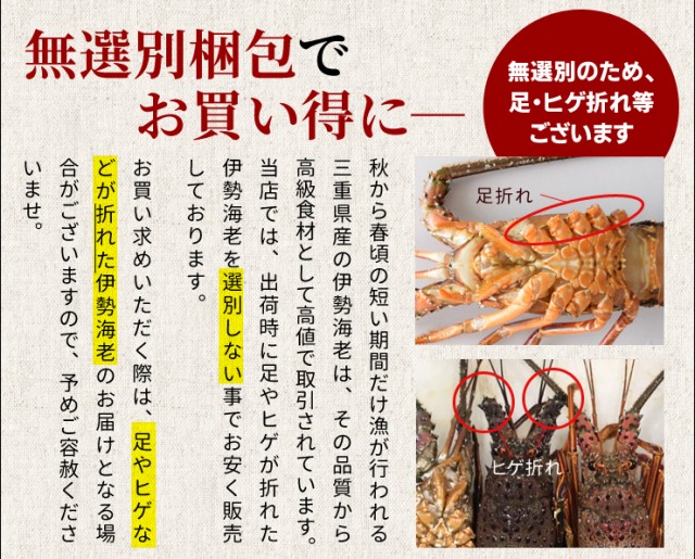 低価国産 伊勢海老 イセエビ お中元 ギフトの通販はau PAY マーケット - 伊勢鳥羽志摩特産横丁|商品ロットナンバー:508276313 三重県産 900g サイズ限定特別価格 送料無料 刺身用瞬間冷凍 伊勢エビ 国産得価