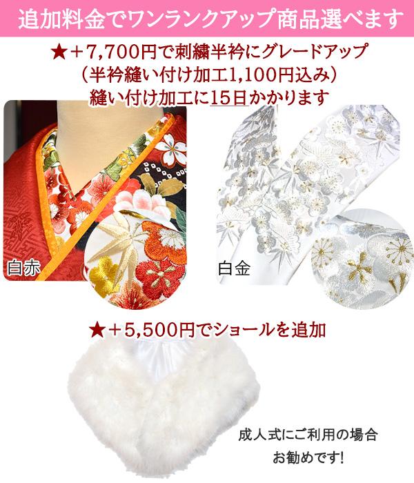 手描き 京友禅 正絹 振袖 30点 セット ピンク 成人式 ふりそで
