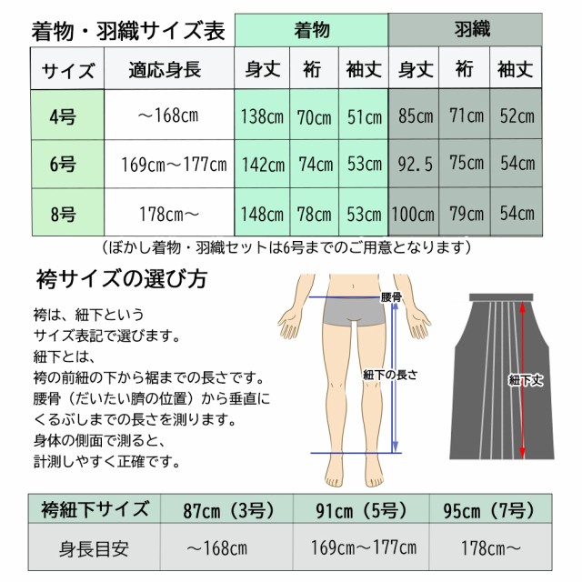 紋付袴 羽織 着物 袴 3点 セット ぼかし 紋付 袴 成人式 卒業式 結婚式