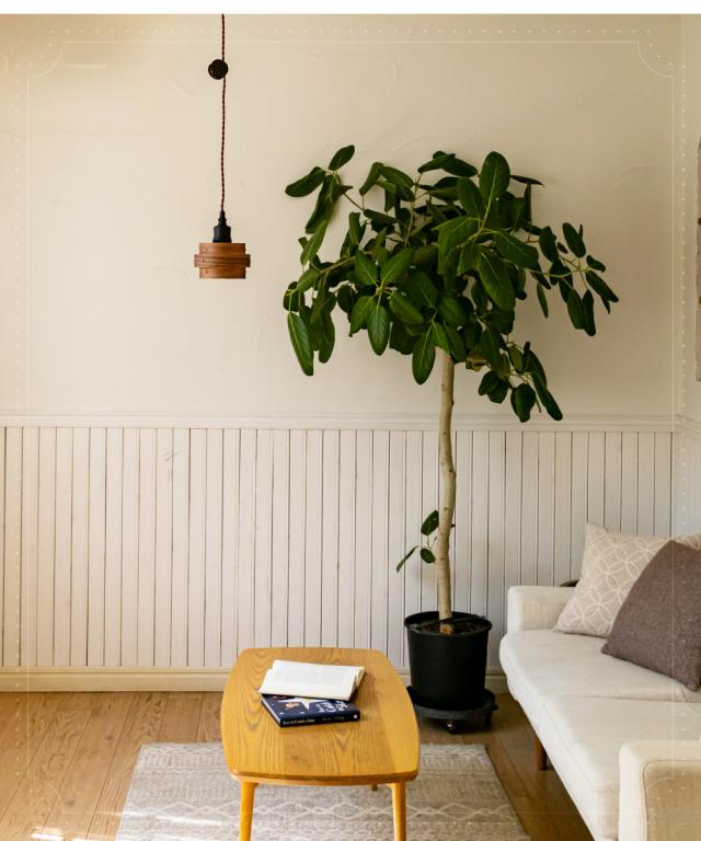 照明 シェード 木製 アヴァロス