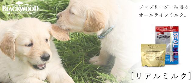 ブラックウッド　リアルミルク