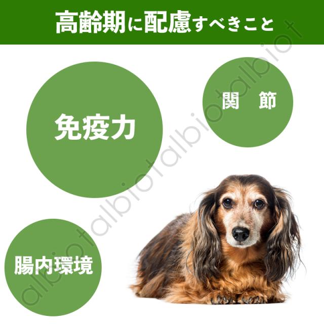 高齢期に配慮すべきこと