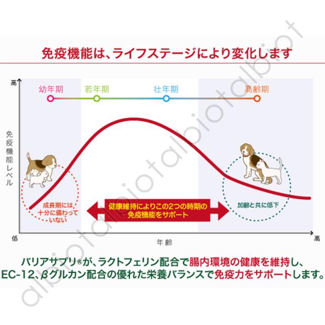 免疫機能はライフステージにより変化します