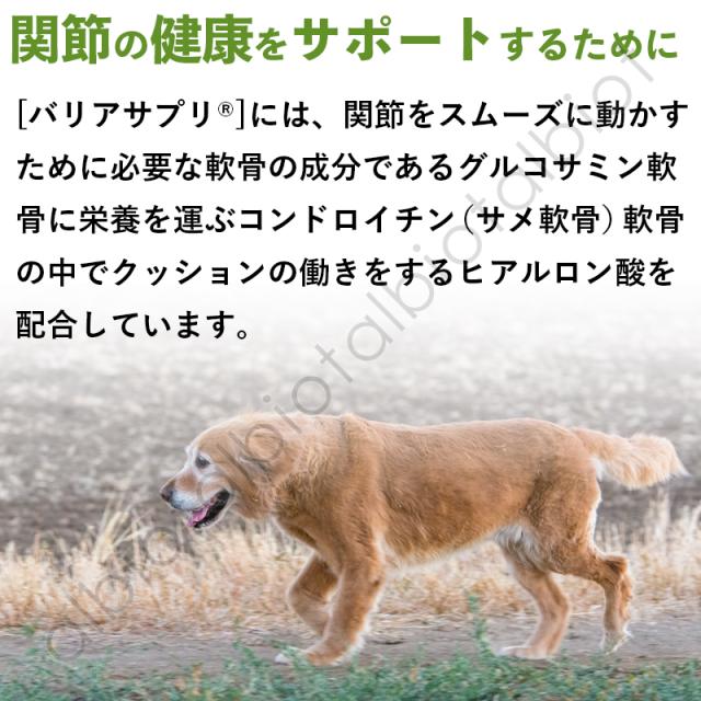 関節の健康をサポートするために