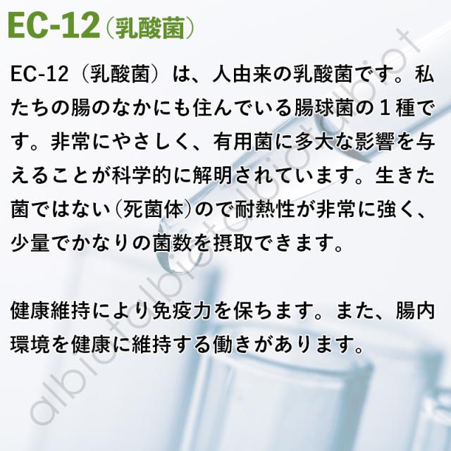 EC-12（乳酸菌）