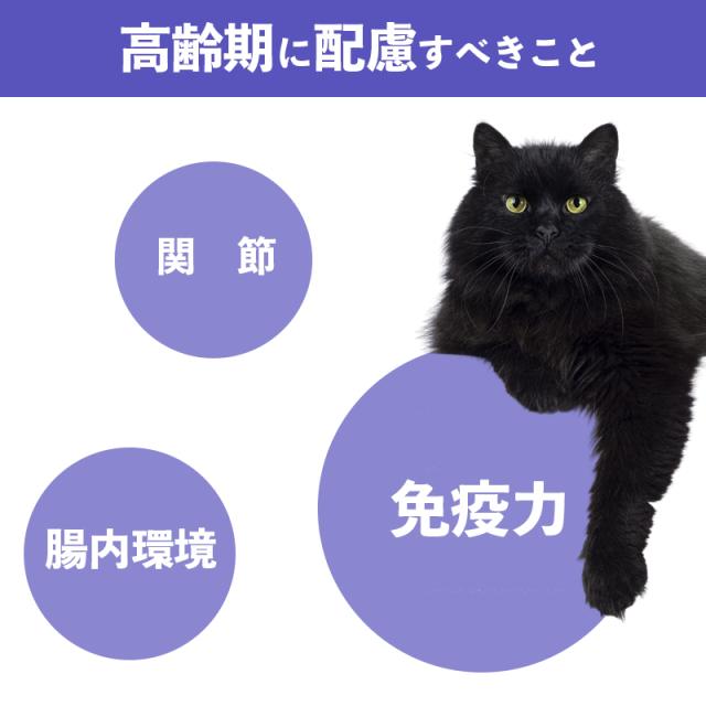 高齢期に配慮すべきこと