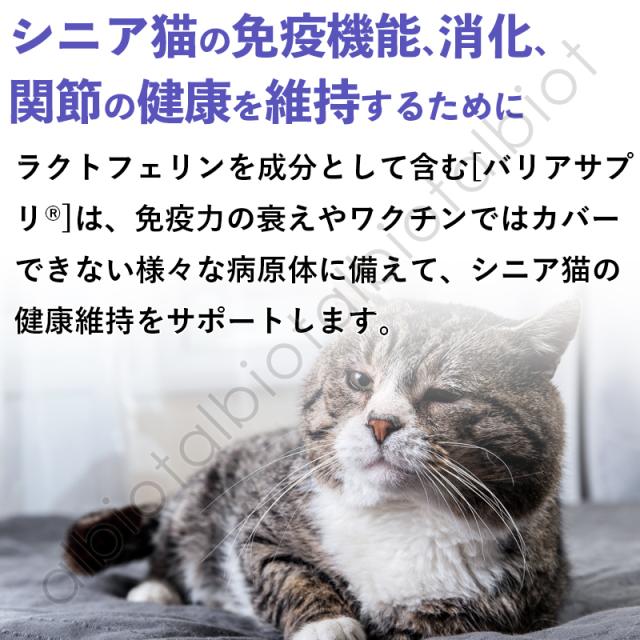 シニア猫の免疫機能、消化、関節の健康を維持するために