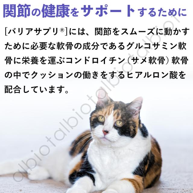 関節の健康をサポートするために