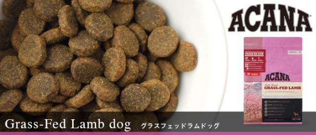 アカナ グラスフェッドラム