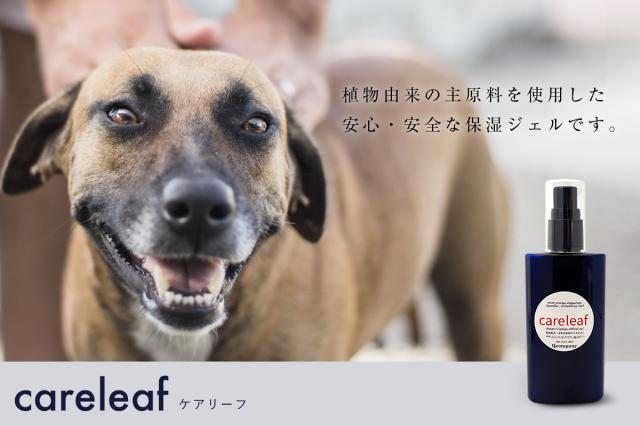 careleaf ケアリーフ