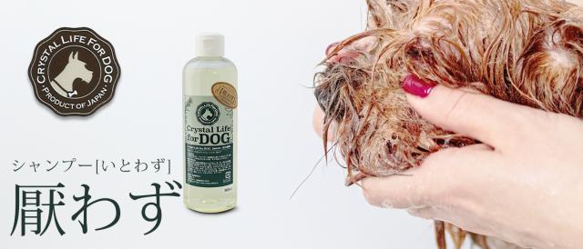 クリスタルライフ ドッグシャンプー 厭わず（いとわず）
