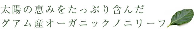 太陽の恵みをたっぷり含んだグァム産オーガニックノニリーフ