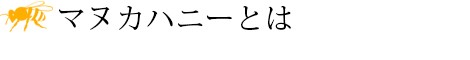 }kJnj[Ƃ